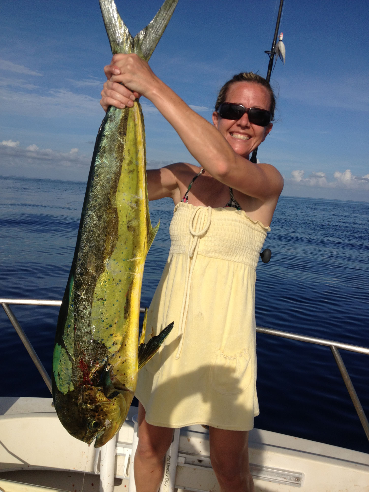 Offshore Fishing Charters Local Lines Charters