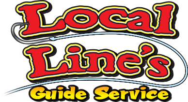 Local Lines Charters